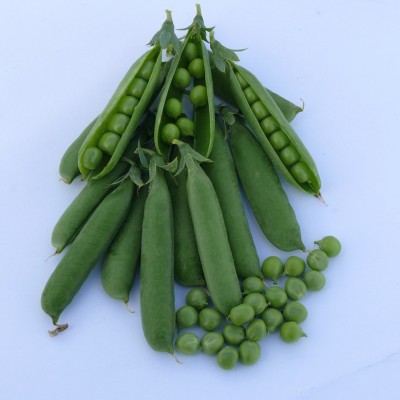 Семена гороха овощного Кингсайз (2500 с.) Lark Seeds